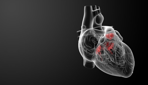 Beating Heart Pulmonary Artery Valve Replacement by OrangeCountySurgeons
